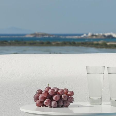 Naxian Spirit Suites & Apartments Agia Anna  외부 사진