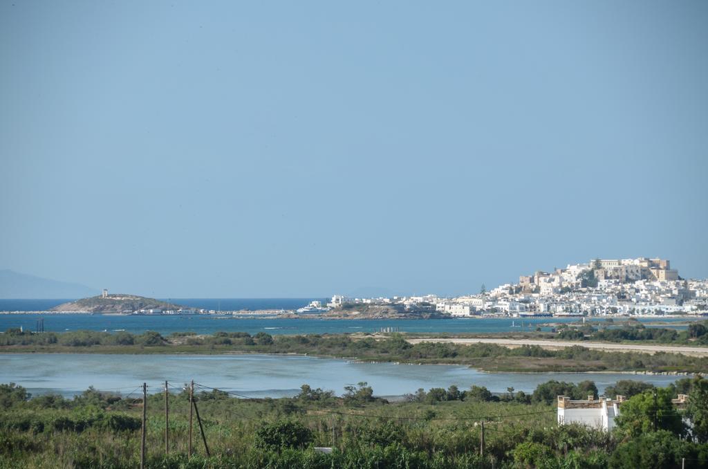 Naxian Spirit Suites & Apartments Agia Anna  외부 사진